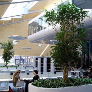 L’innovativo Campus Library di 3.775 Mq della Masaryk University di Brno