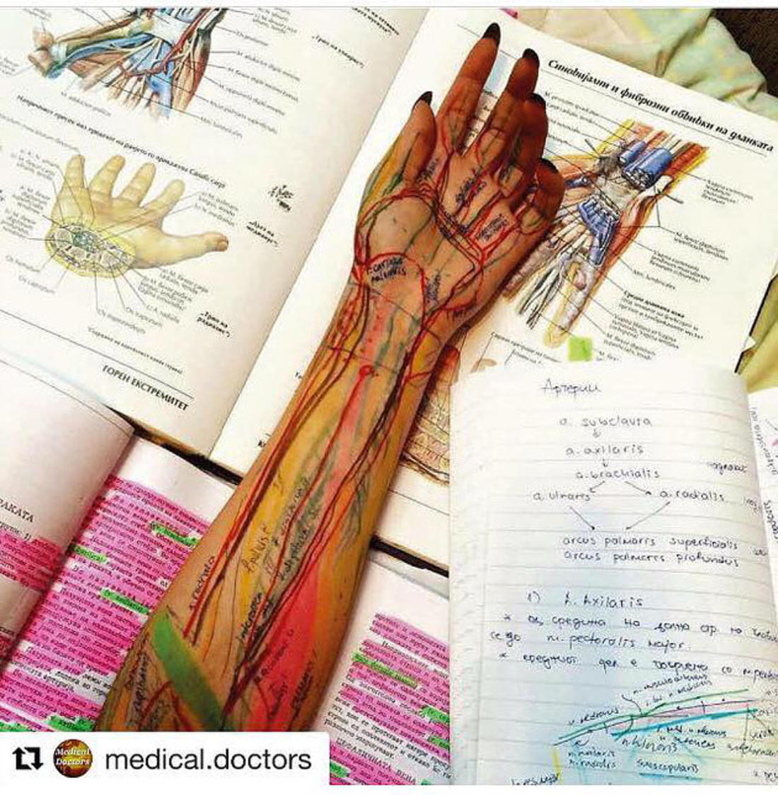  Un modo creativo di studiare anatomia...