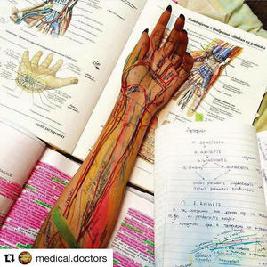  Un modo creativo di studiare anatomia...